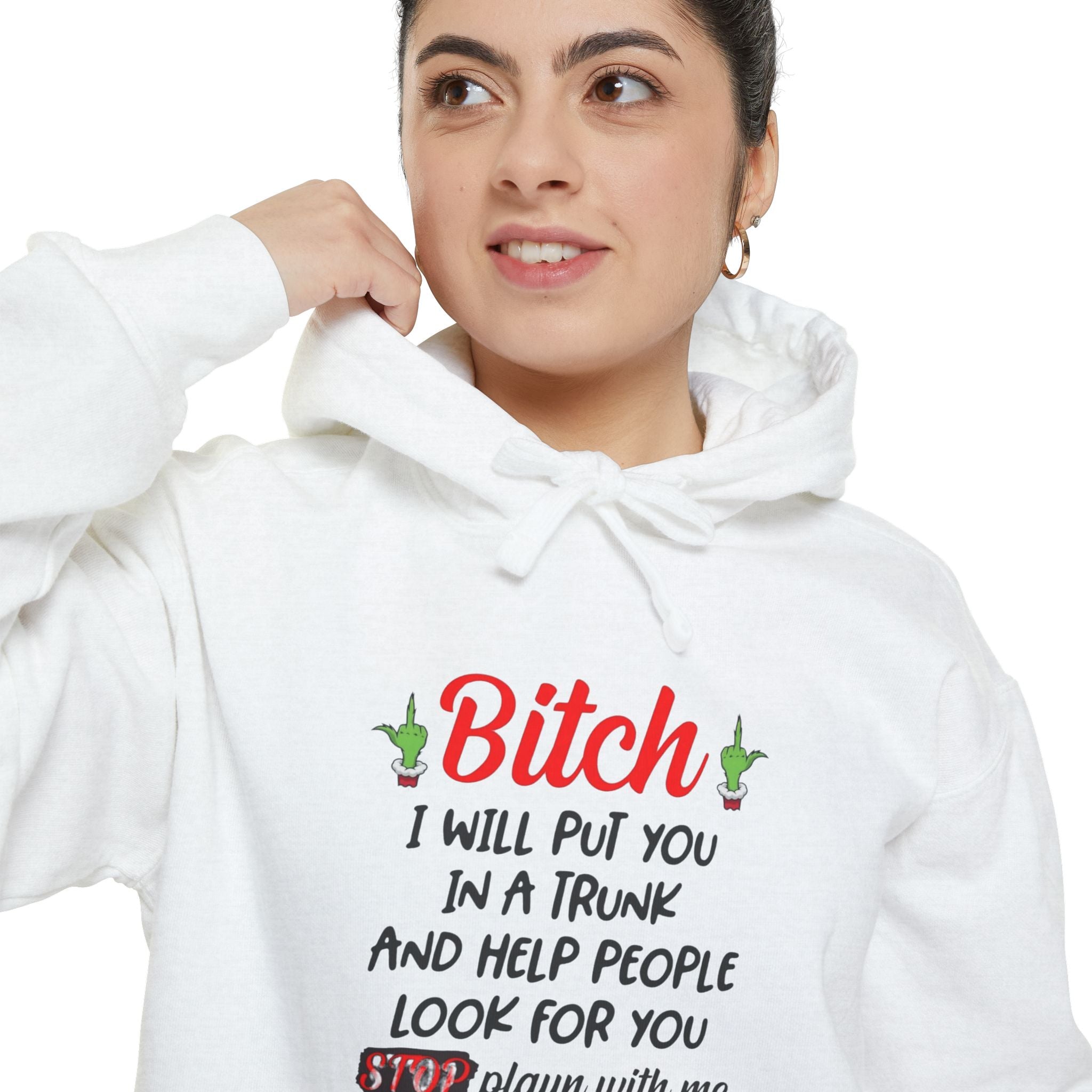 Hoodie — "Bitch I Will Put You In A Truck" Funny Protective Quote Hoodie